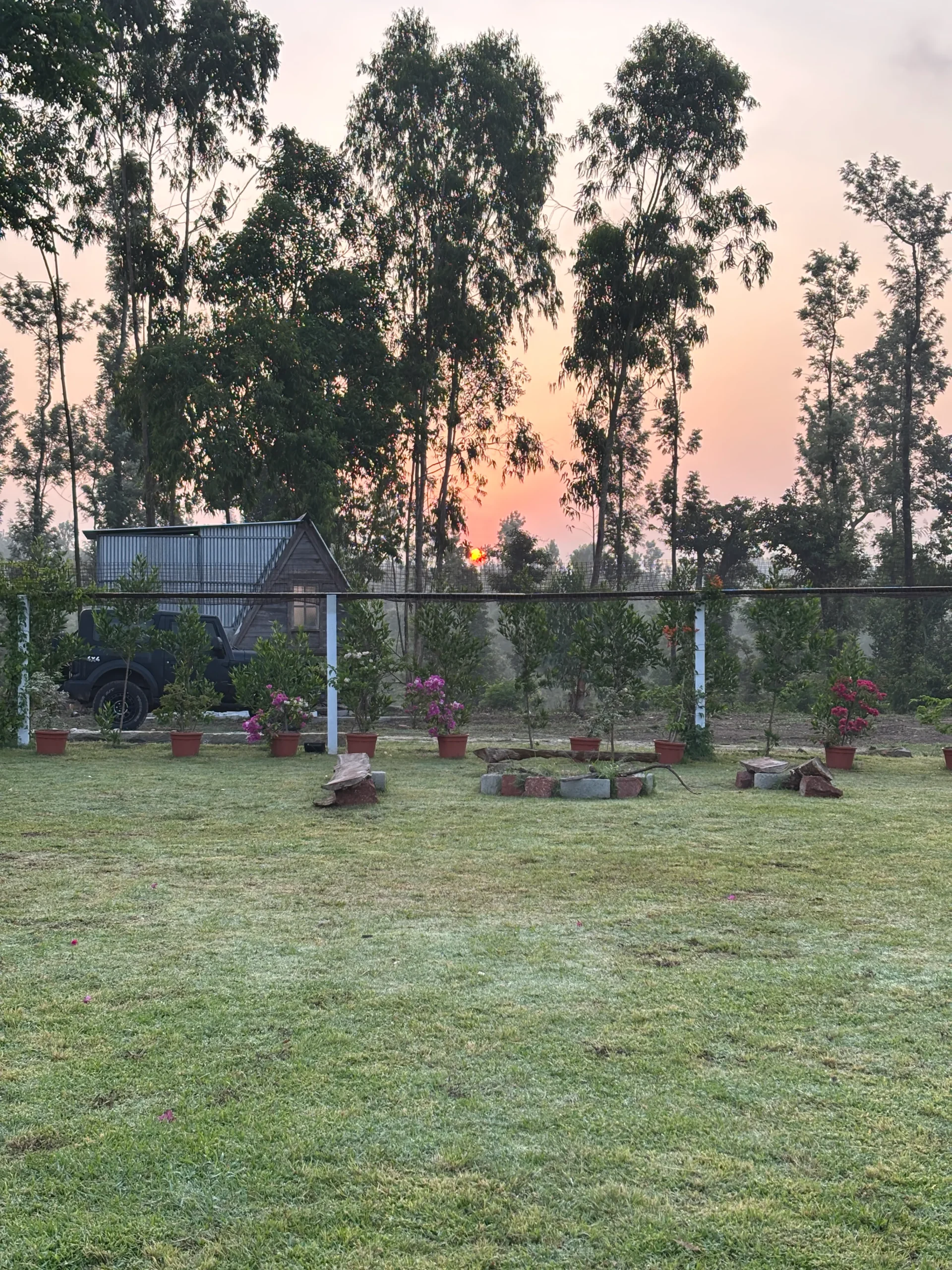 morning mist