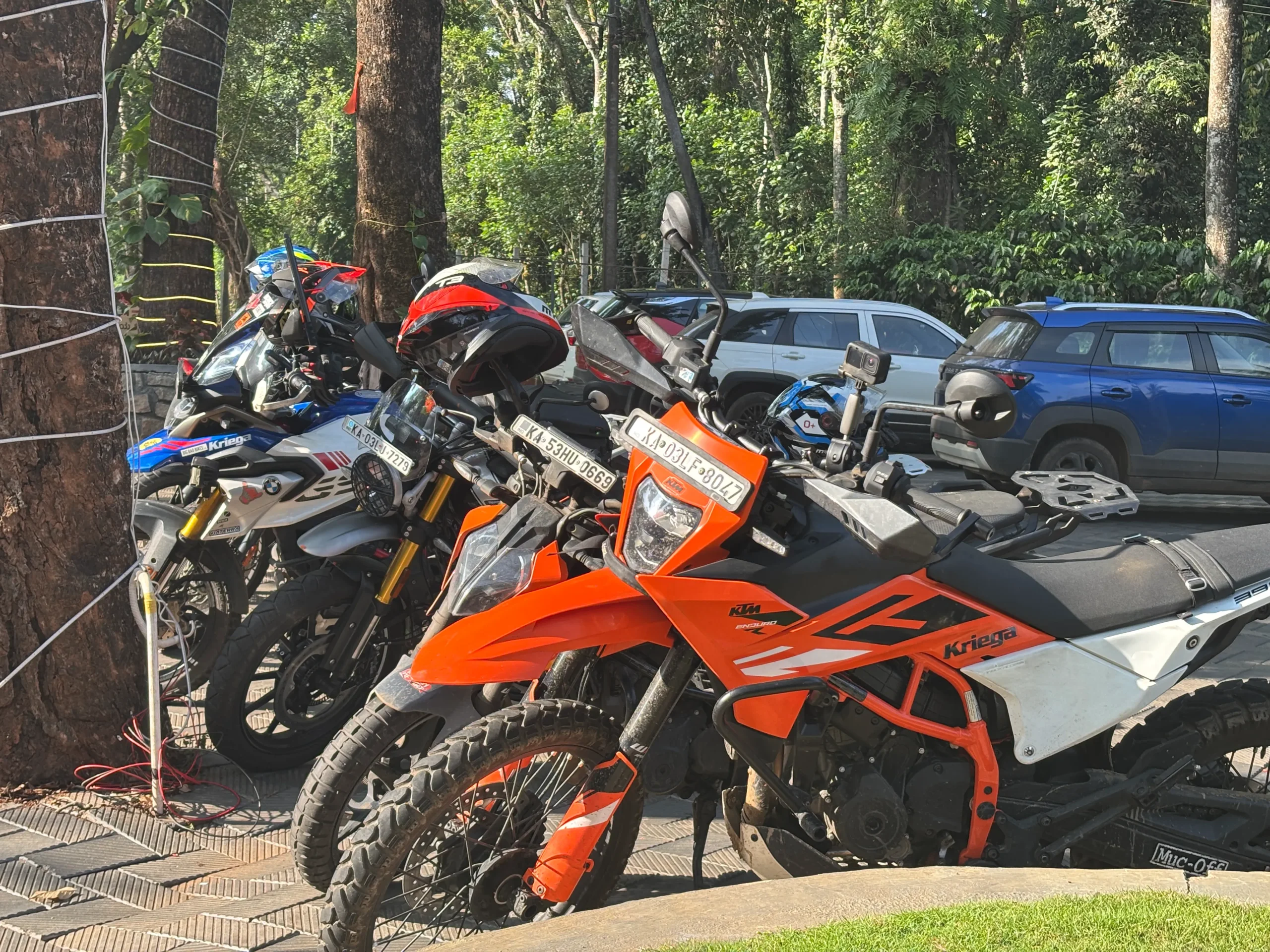 ride green canopy