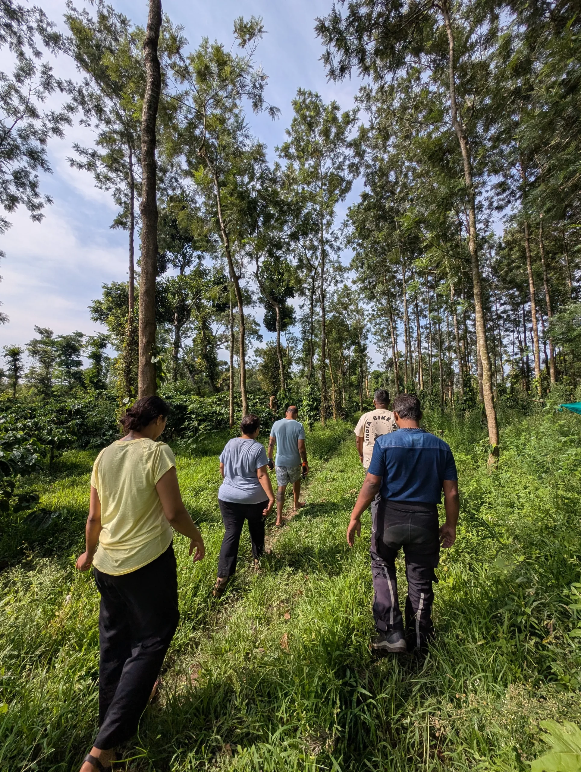 plantation walk